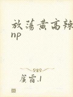 放荡黄高辣h文np