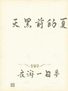 天黑前的夏天