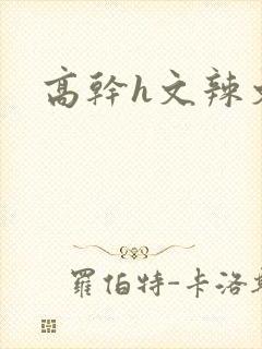 高干h文辣文