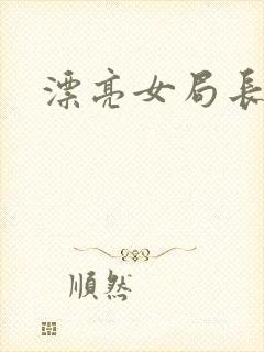 漂亮女局长封面