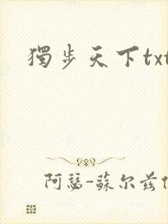 独步天下txt