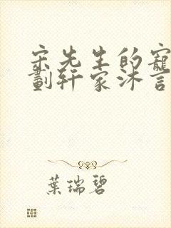 宋先生的宠妻计划轩家沐言封面