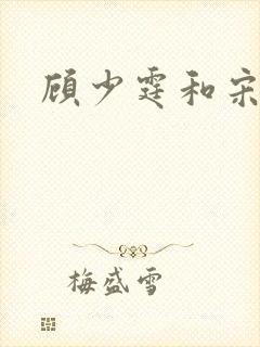 顾少霆和宋斯曼封面