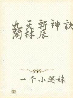九天斩神诀笔趣阁林辰