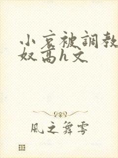 小哀被调教成肉奴高h文封面