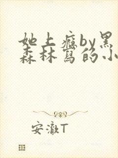 她上瘾by黑暗森林写的小说免费阅读无弹窗