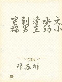 穿到清水文里造福男主的小说