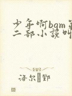 少年啊bgm第二部小说叫什么