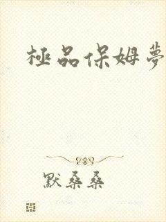 极品保姆梦梦封面