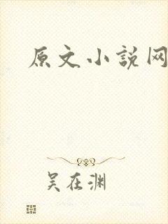 原文小说网