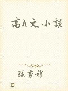 高h文小说
