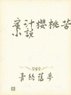 蜜汁樱桃苦咖啡小说