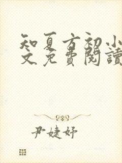 知夏方初小说全文免费阅读最新章节封面