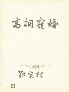 高调宠婚