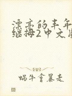 漂亮的丰年经的继拇2中文版封面