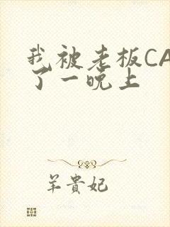 我被老板CAO了一晚上