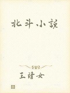 北斗小说