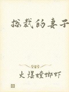 总裁的妻子封面