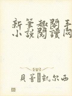 新笔趣阁手机版小说阅读网封面