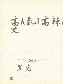 高h乱l高辣h文