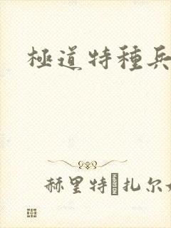 极道特种兵封面