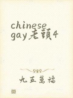chinesegay老头4