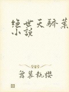 绝世天骄叶凌天小说