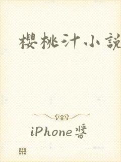 樱桃汁小说