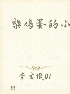 柴鸡蛋的小说