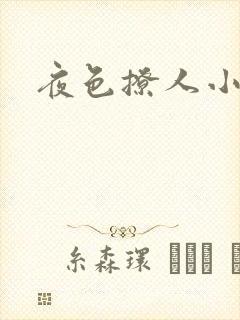 夜色撩人小说封面