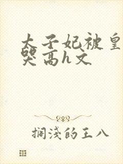 太子妃被皇上c哭高h文