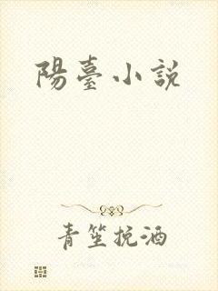 阳台小说
