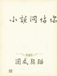 小说网站你懂的封面