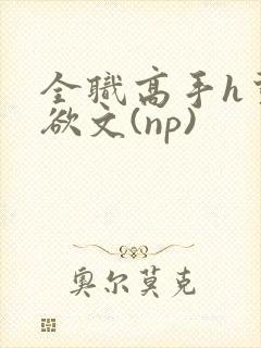 全职高手h荤肉欲文(np)