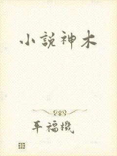 小说神木