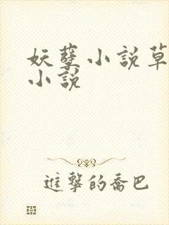 妖孽小说草莓酱小说