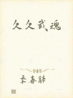 久久武魂封面