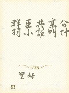 群臣共享公主银羽小说叫什么