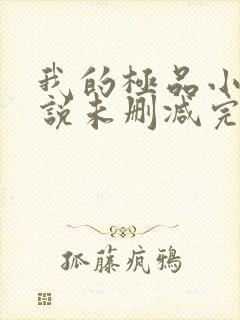 我的极品小姨小说未删减完整版