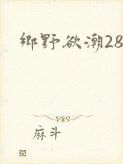 乡野欲潮28章