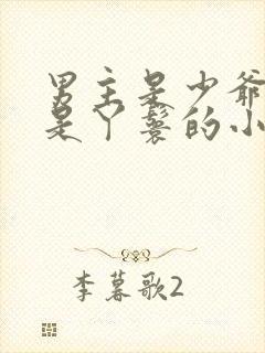 男主是少爷女主是丫鬟的小说