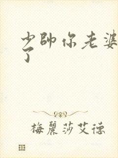 少帅你老婆又跑了