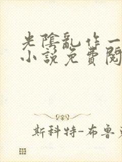 光阴乱作一团的小说免费阅读