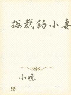 总裁的小妻子