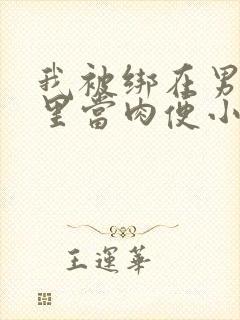 我被绑在男公厕里当肉便小说封面