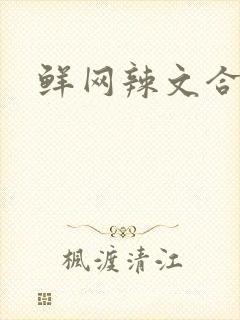 鲜网辣文合集封面