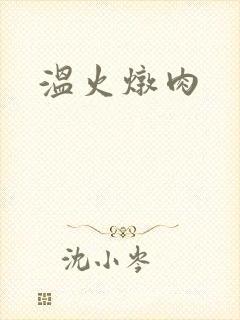 温火炖肉封面