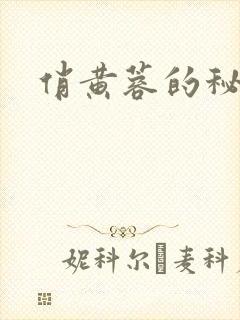 俏黄蓉的秘密封面