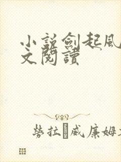 小说剑起风云全文阅读