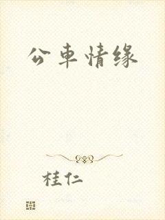 公车情缘